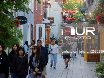 Daily Life In Old Quebec City