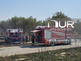 Firefighters In Action During A Vegetation Fire In Southern Italy