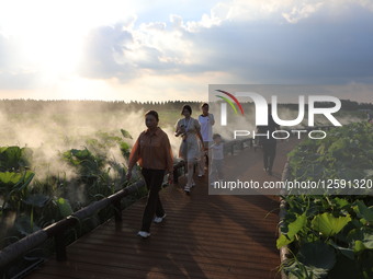  Lotus Pond Cooled By Spray in Yancheng.