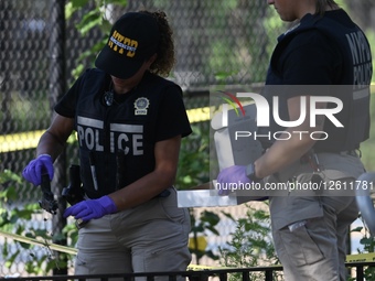 One Man Killed And One Man Injured In Shooting Outside Glenmore Plaza Houses And Powell Playground Within Confines Of 73 Precinct