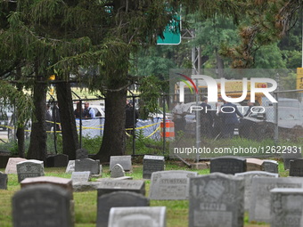 Skeletal Remains Found In Garbage Bag Near The Jackie Robinson Parkway