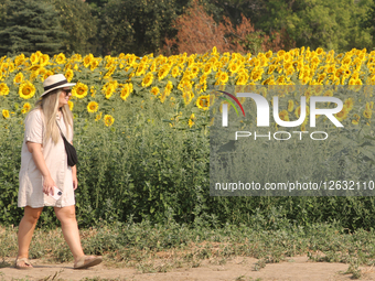 Daily Life In Markham, Canada