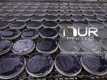 Reopening Of The El Oso Factory In Mexico