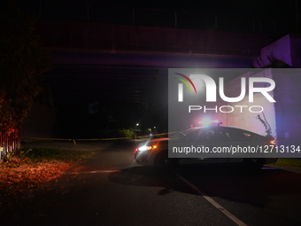 26-year-old Man Fatally Shot To The Chest At Starlight Park In New York City