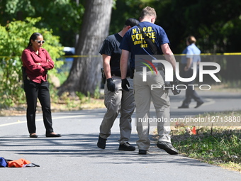 26-year-old Man Fatally Shot To The Chest At Starlight Park In New York City