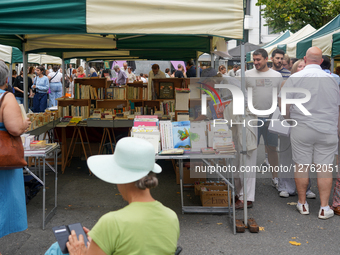 Open Air Book Market