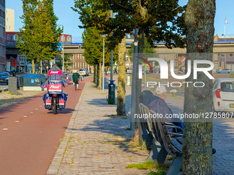 Grocery Delivery Rider On Bicycle Path