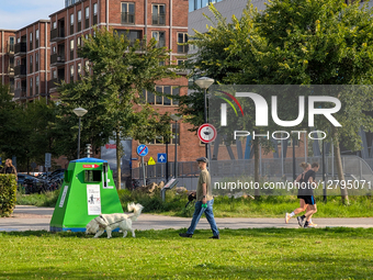 Man Walking Dog And Joggers In Park