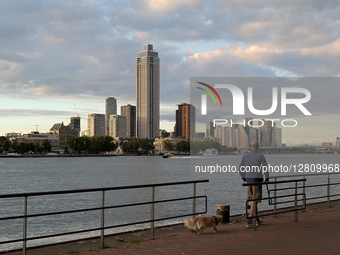 Man Walking Dog By The River In Rotterdam