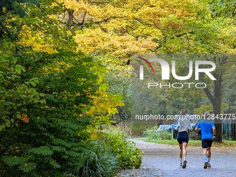 Joggers Running Through Autumn Park