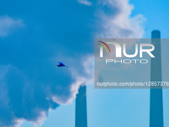 Pollution: Miami Fort Power Plant In Cincinnati, OHIO