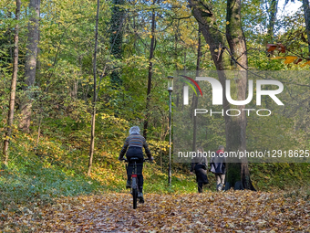 Cyclist And Hikers Enjoy Autumn Walk In Forest