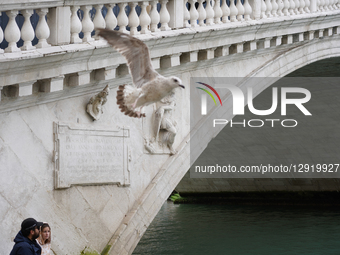Seagull Flies Past Tourists On A Bridge In Venice