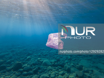Underwater Plastic Bag Litter
