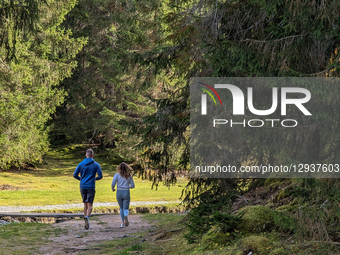 Young Couple Jogging Through An Autumnal Forest Path