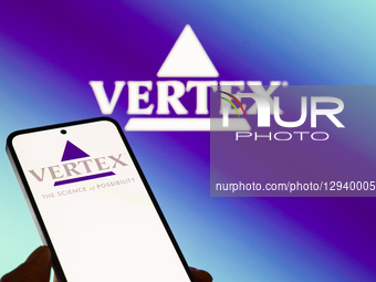 Vertex - Photo Illustration