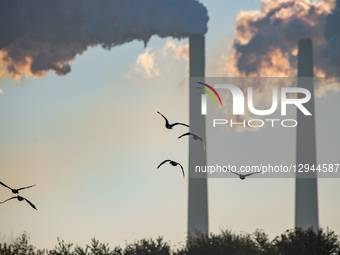 Pollution And Wildlife In Indiana And Ohio