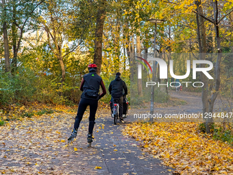Inline Skater And Cyclist On An Autumnal Path In Park