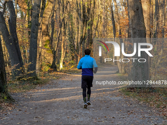 Man Running On An Autumnal Dirt Path In A Forest