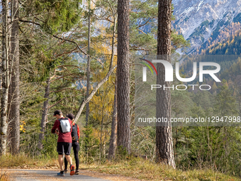 Two Hikers Walk On Forest Path In Autumn