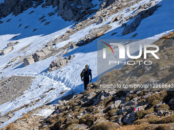 Solo Hiker On Alpine Trail