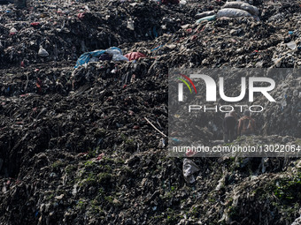 Indonesia Issues New Regulation To Boost Waste-to-Energy Development