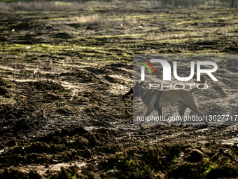 808th Pontoon-Bridge Brigade demines liberated areas of Kherson region in southern Ukraine.