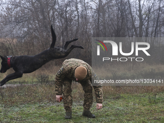 Final training sessions for dog handlers of Ukraine?s 5th Slobozhanska Brigade.