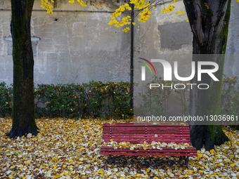 Autumnal Scene On Viale IV Novembre In Venice