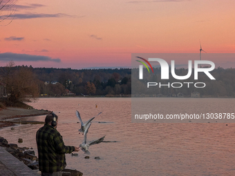 Man Feeds Seagulls By Lake In Autumn