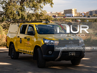 Spain Deploys Military Emergency Unit to Catalonia to Tackle African Swine Fever