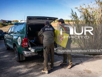  Rural Agents Carry Out Signage And Disinfection Tasks Due To African Swine Fever.