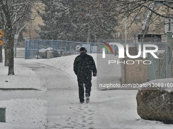 Snowfall In Toronto, Canada