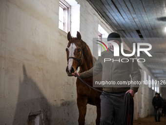 Evacuation of horses from Zaporizhzhia Stud Farm to Mykolaiv.