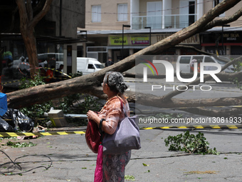 Strong Winds Cause Damage In The City Of São Paulo, Brazil.