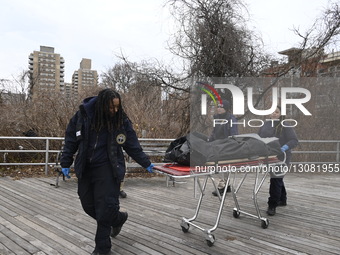 Skull And Human Remains Found At West 33rd Street And Surf Avenue