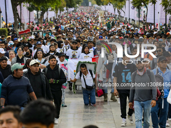 Devotees Celebrating Virgin Of Guadalupe Day