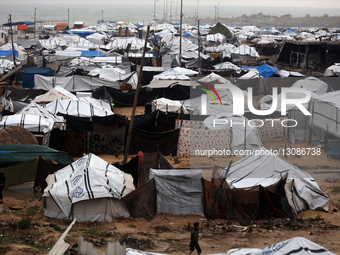 Daily Life In Gaza   