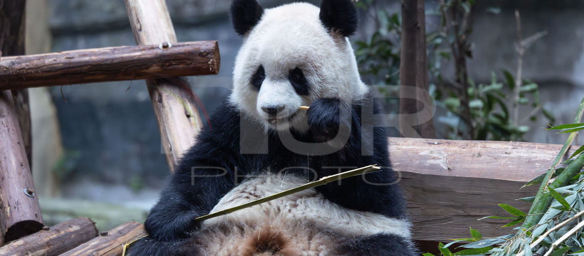 Economy, Business and Finance