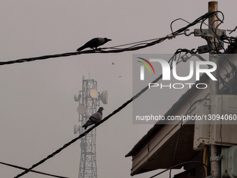 Cold Morning In Kashmir 