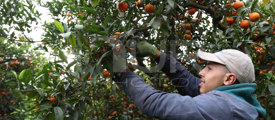 Economy, Business and Finance