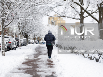 First Snowfall In NYC