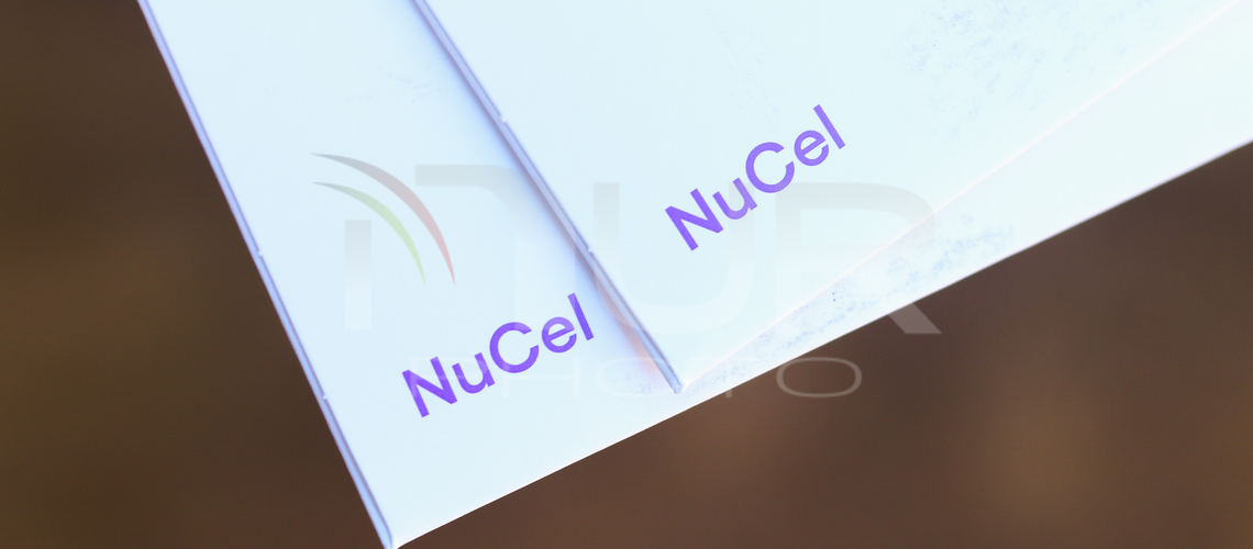 Science and Technology