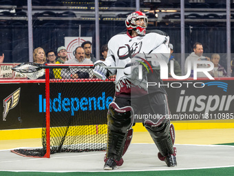 Colorado Mammoth Vs Philadelphia Wings NLL Box Lacrosse