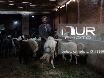 Celebration Of The Birth Anniversary Of Ali Zayn Al-Abidin, Egypt.