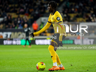 Wolverhampton Wanderers v Brentford - Premier League