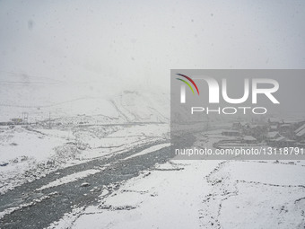 Fresh Snowfall In Kashmir, India