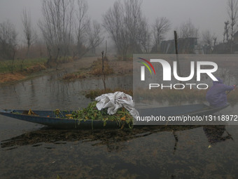 'Chillai-Kalan' Begins In Kashmir Valley