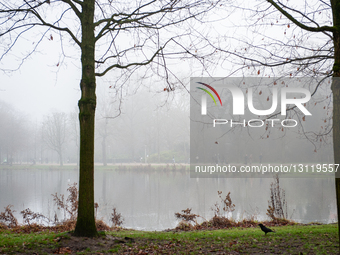 Yellow Code For Dense Fog In Almost All Of The Netherlands.