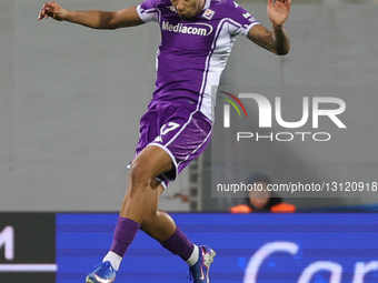 ACF Fiorentina v Udinese Calcio - Campionato Serie A 